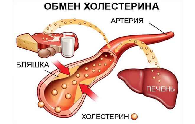 Як впливає кава на людей з підвищеним холестерином в крові