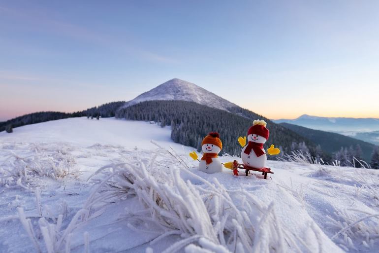 Як вибрати й де купити сноуборд в Україні?