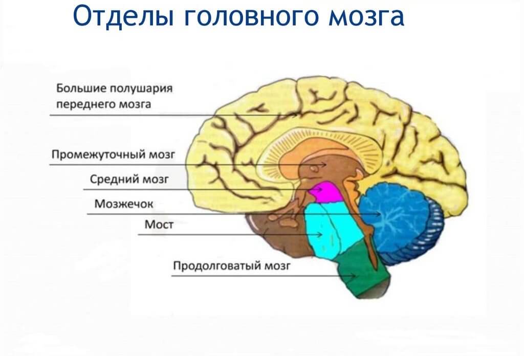 Відділи Відділи