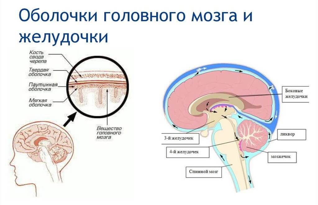 Функції оболонок Функції оболонок