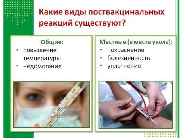 Можливі реакції організму на щеплення Можливі реакції організму на щеплення