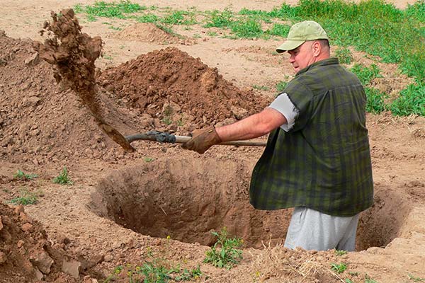 Сонник яма: до чого сниться і що означає сон про яму
