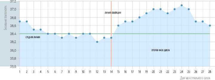 Нормальний двофазний графік базальної температури Нормальний двофазний графік базальної температури