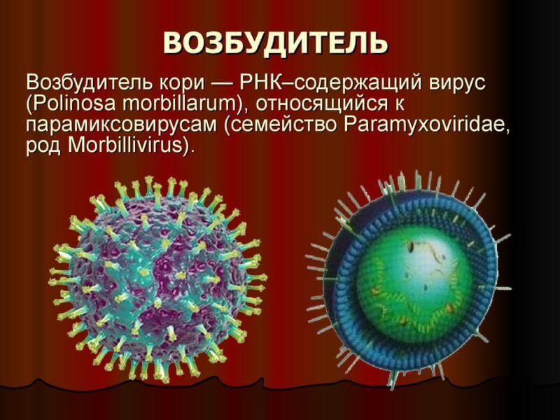 Інкубаційний період кору Інкубаційний період кору