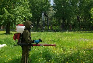 Обробка ділянки спеціальним засобом Обробка ділянки спеціальним засобом