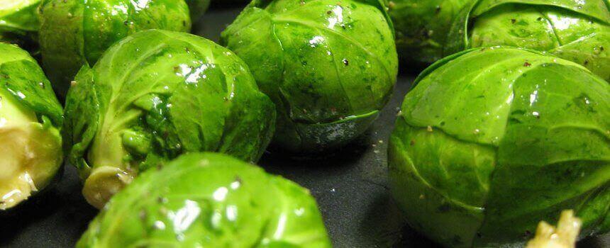 Брюссельська капуста Брюссельська капуста