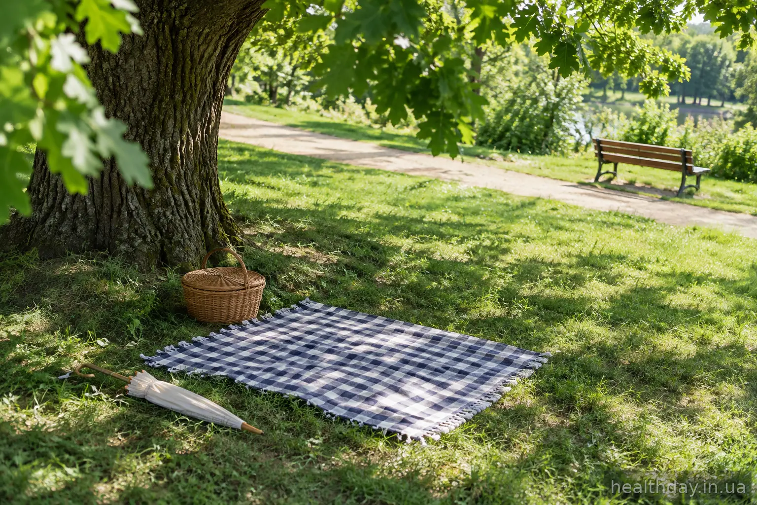 Затінена галявина в парку з розстеленою ковдрою та кошиком для пікніка
