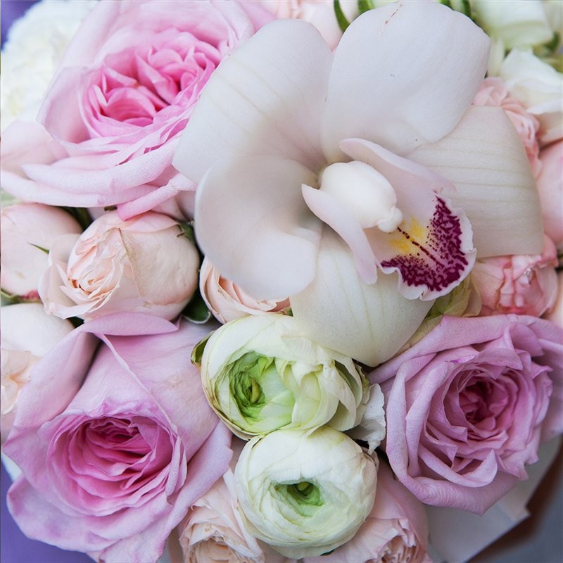 Поздоровлення з днем ангела Климента українською