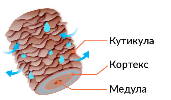 Рутина догляду за волоссям