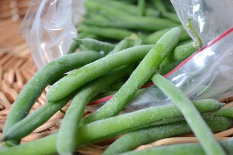 12 найсмачніших рецептів стручкової квасолі на зиму