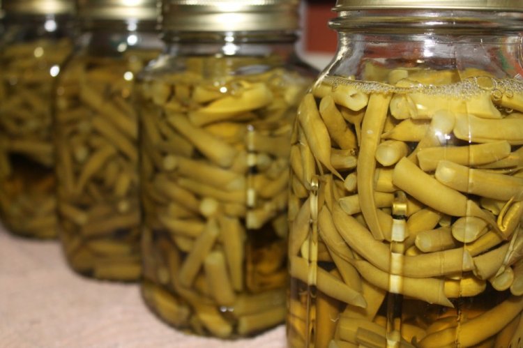 12 найсмачніших рецептів стручкової квасолі на зиму