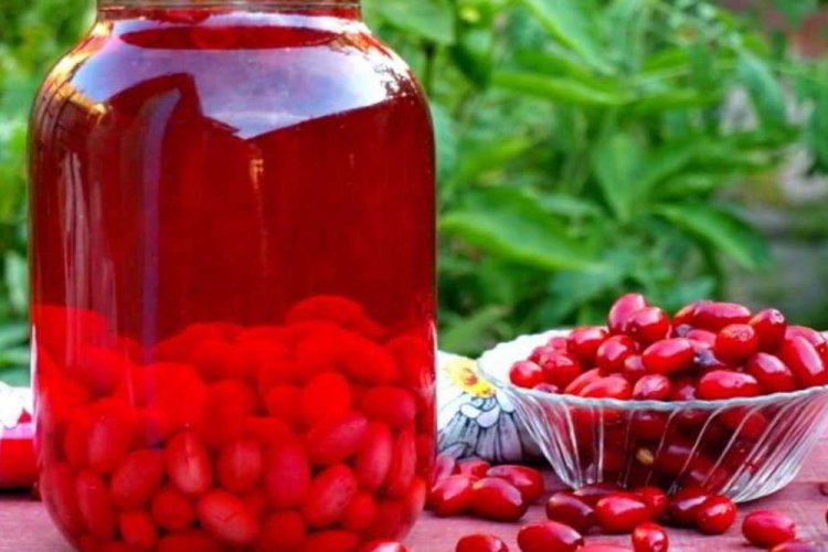 20 швидких рецептів компоту з кизилу