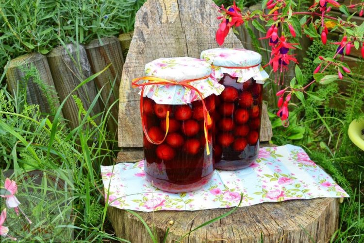 20 компотів з аличі, які варто приготувати