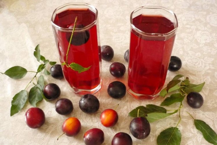 20 компотів з аличі, які варто приготувати