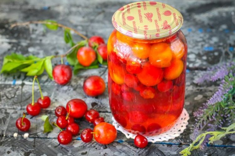 20 компотів з аличі, які варто приготувати
