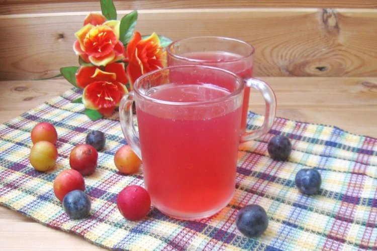 20 компотів з аличі, які варто приготувати