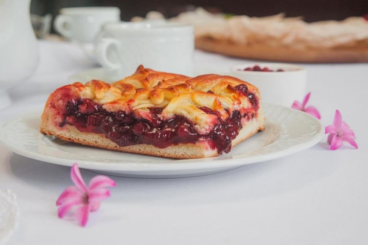 20 відмінних рецептів пирога з брусницею