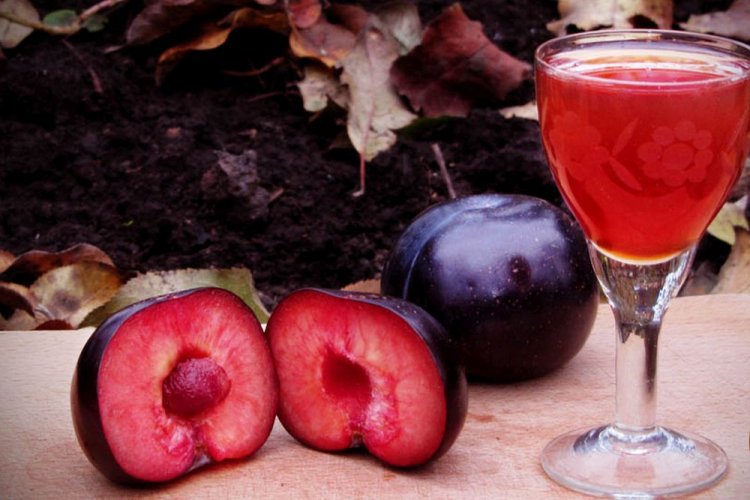 20 чудових рецептів наливки зі сливи