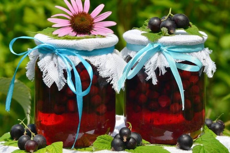 20 простих рецептів компоту з чорниці