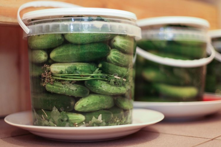Огірки на зиму холодним способом: 20 простих та смачних рецептів
