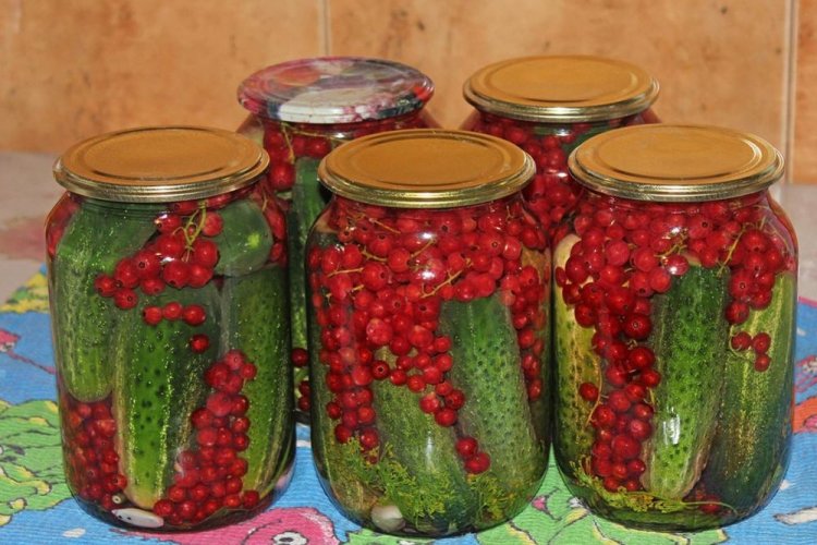 Огірки на зиму «Пальчики оближеш»: 20 швидких та смачних рецептів