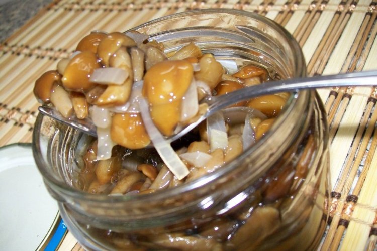 Опеньки на зиму: 15 швидких та смачних рецептів заготівель