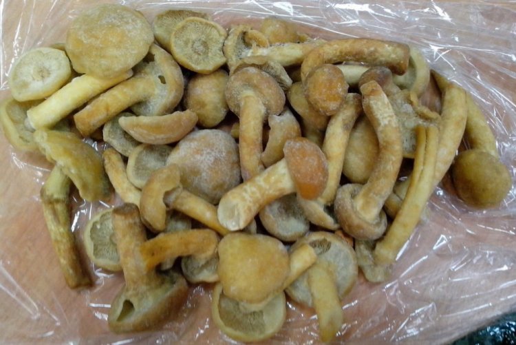 Опеньки на зиму: 15 швидких та смачних рецептів заготівель