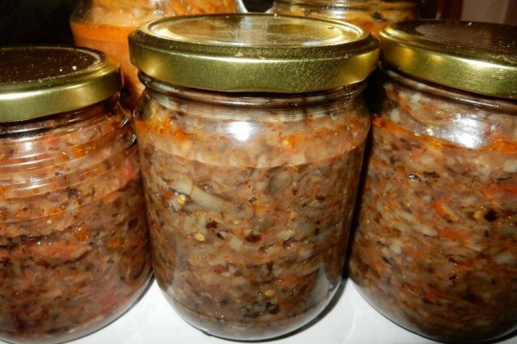 Опеньки на зиму: 15 швидких та смачних рецептів заготівель