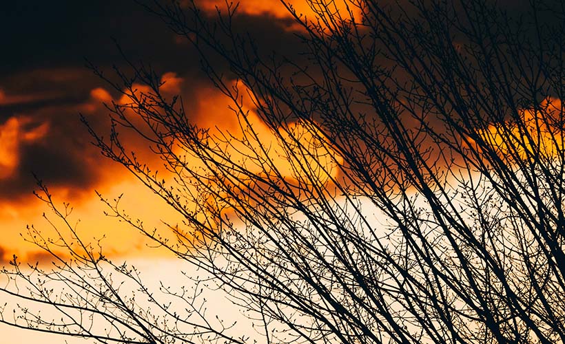 Уран у Леві Уран во Льве