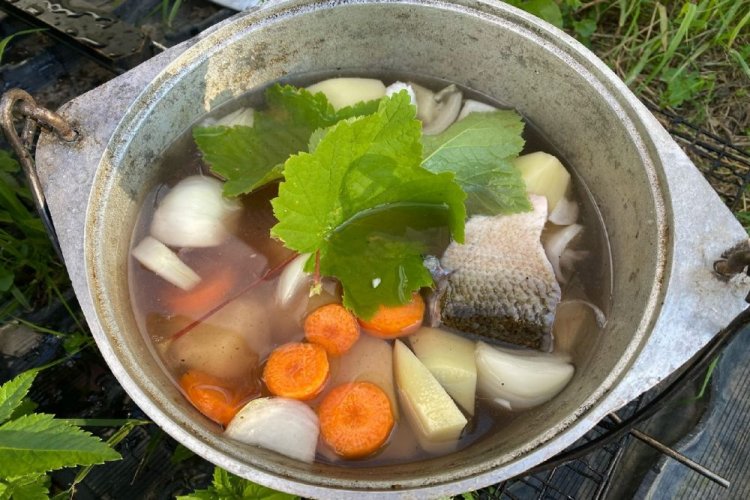 20 простих рецептів юшки на багатті в казані