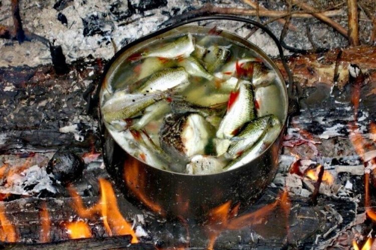 20 простих рецептів юшки на багатті в казані