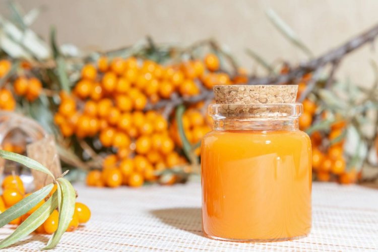 Бурштинове варення з обліпихи: 20 рецептів на будь-який смак