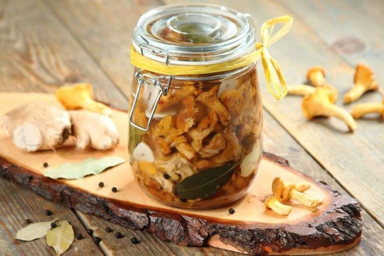 Мариновані лисички на зиму: 20 простих та швидких рецептів