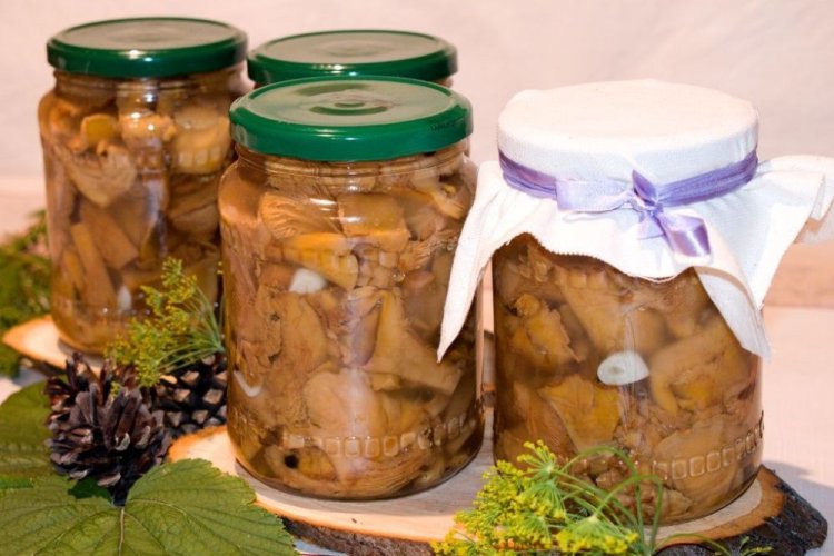 Мариновані лисички на зиму: 20 простих та швидких рецептів