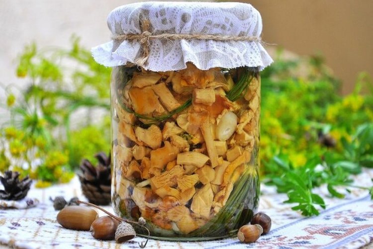 Мариновані лисички на зиму: 20 простих та швидких рецептів