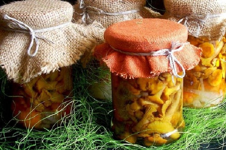 Мариновані лисички на зиму: 20 простих та швидких рецептів