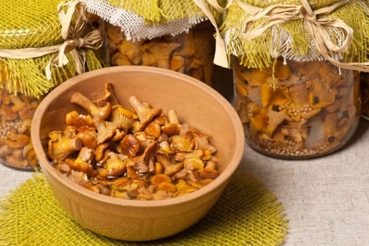 Мариновані лисички на зиму: 20 простих та швидких рецептів