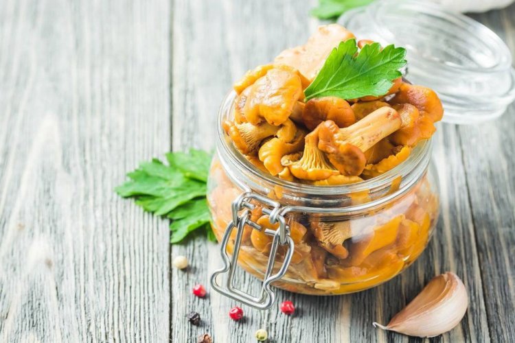 Мариновані лисички на зиму: 20 простих та швидких рецептів