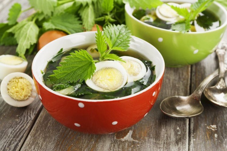 20 супів із кропиви, які зможе приготувати кожен