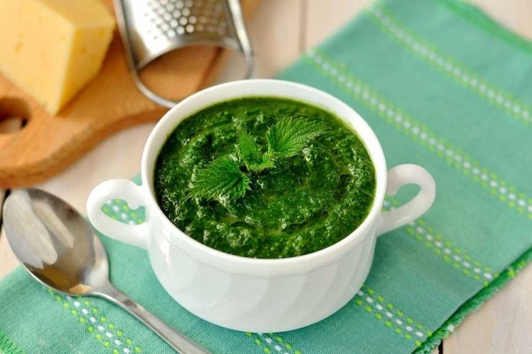 20 супів із кропиви, які зможе приготувати кожен