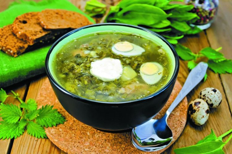 20 супів із кропиви, які зможе приготувати кожен