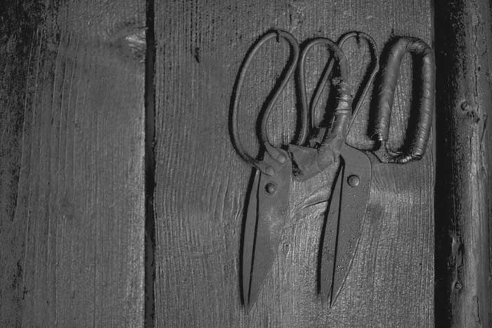 Прикмети про ножиці: до чого падають на підлогу, чи можна дарувати на день народження, чому не можна ними клацати