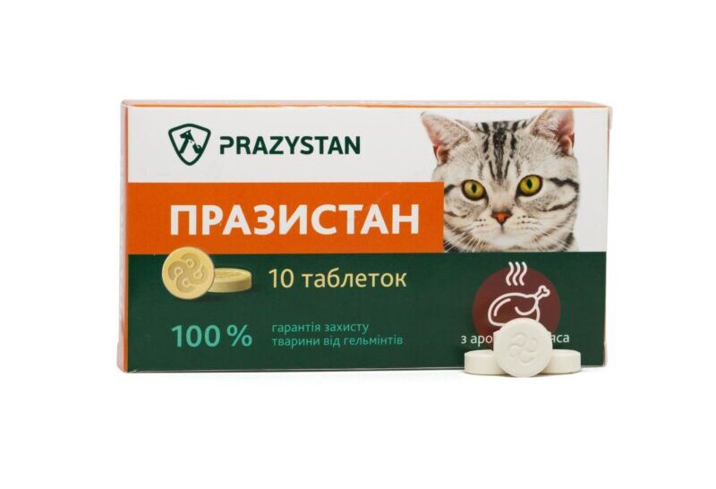 Забота о домашних кошках