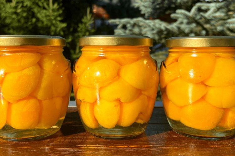 20 оригінальних рецептів з абрикосів