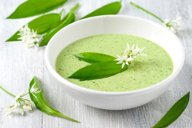 20 відмінних рецептів з черемшею на будь-який смак