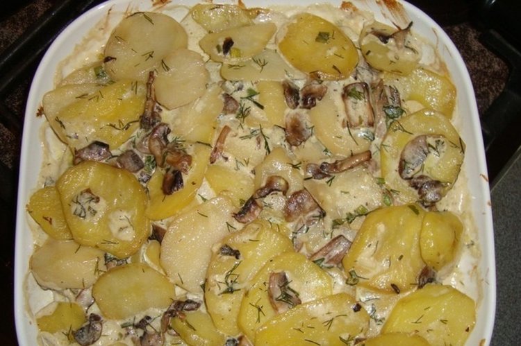 15 відмінних рецептів смаженої картоплі з печерицями