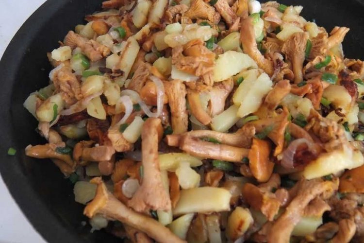 8 простих рецептів смаженої картоплі з лисичками на сковороді